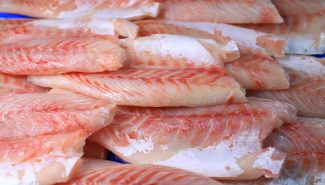 Fresh or frozen Skinless fillets